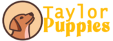 Taylor Puppies